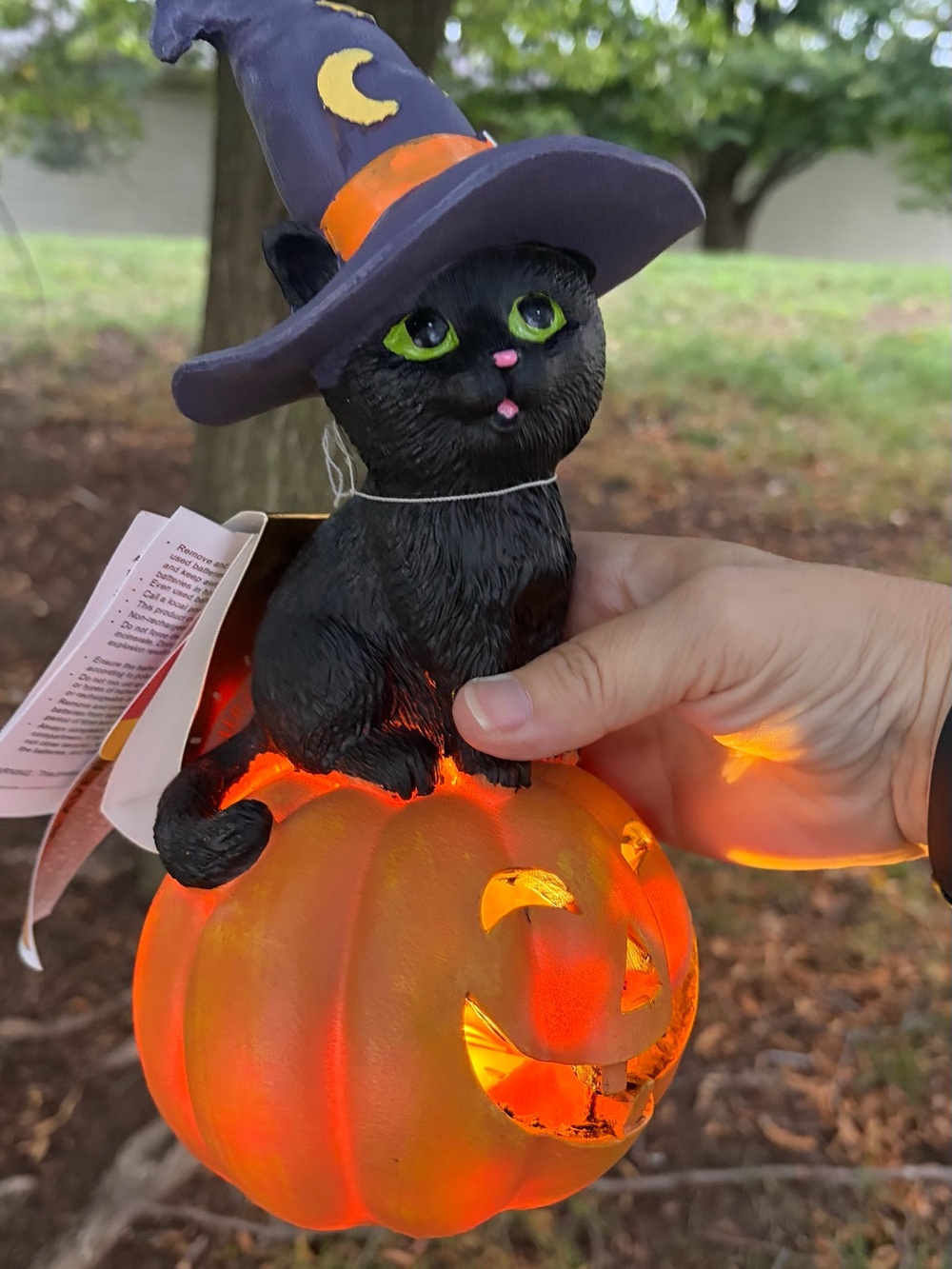 LED Halloween Black Cat on Orange Pumpkin with Purple Witch Hat